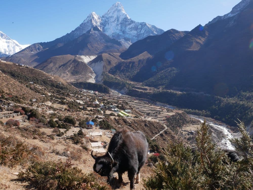 Everest Region