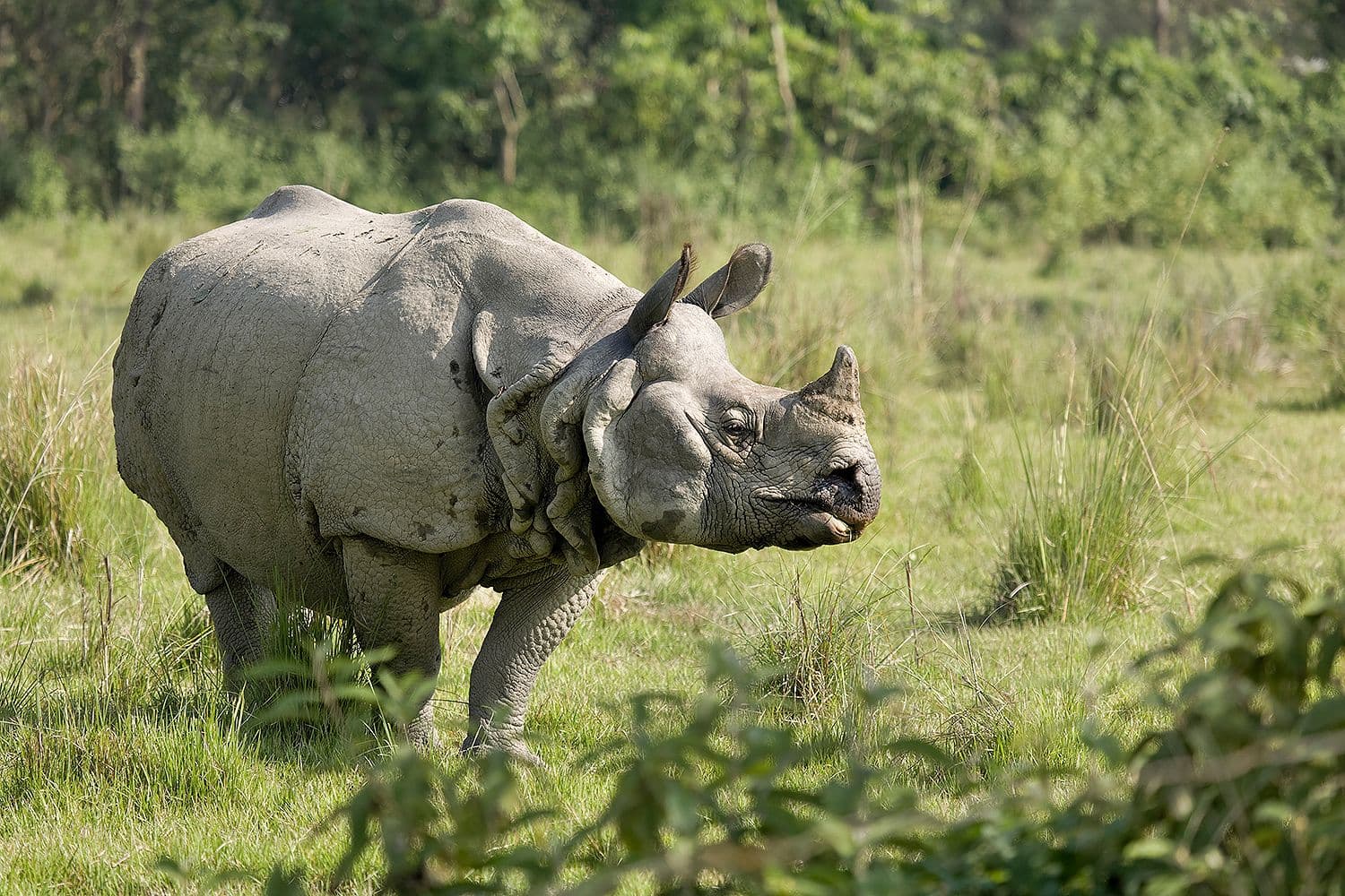 3 Days Chitwan National Park Safari